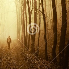 Elswhere - Walking Deep (Original Mix) FREE DL