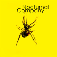 Nocturnal Company - Lost Your Way