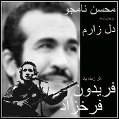 Mohsen Namjoo Dele Zaram