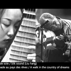 Liu Fang - Alla Foundou - Pipa - Oud - A Walk In The Country Of Dreams