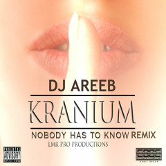 Nobody Has To Know Remix - Kranium