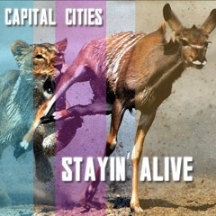 097. Capital Cities - Stayin Alive. (Short) [Liiang Ramos 2014]