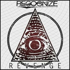 RECOGNIZE - On To The Next One