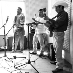 Trío Huasteco Campiranos de la Sierra - El Jardinero