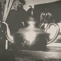 Wiskers in the soup of you mind