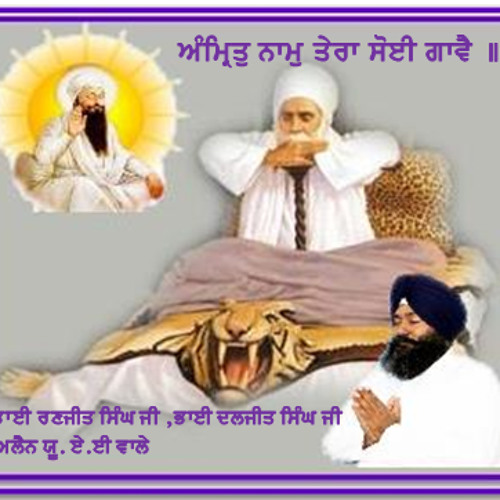 AMRIT NAAM TERA SOI GAVEE