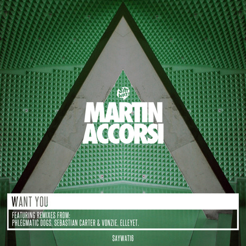 Martin Accorsi - Want You (Original Mix) [Say Wat Records]