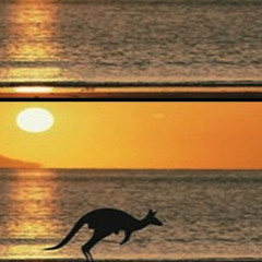 Adda - Invisible Kangaroo (FREE DL)