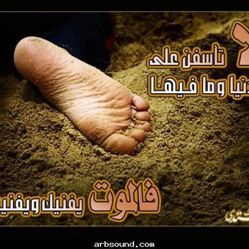 فرشي التراب
