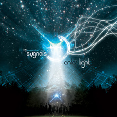 08.Sygnals - Reversing Normality