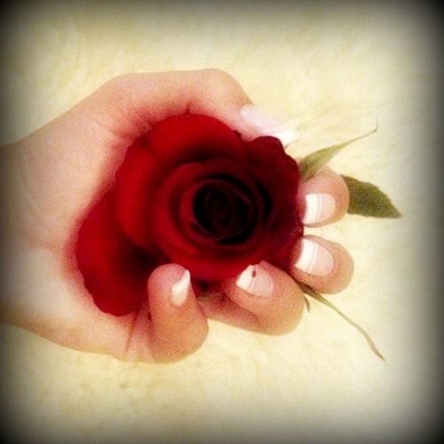 Kingdom In The Clouds\Chris Spheeris -