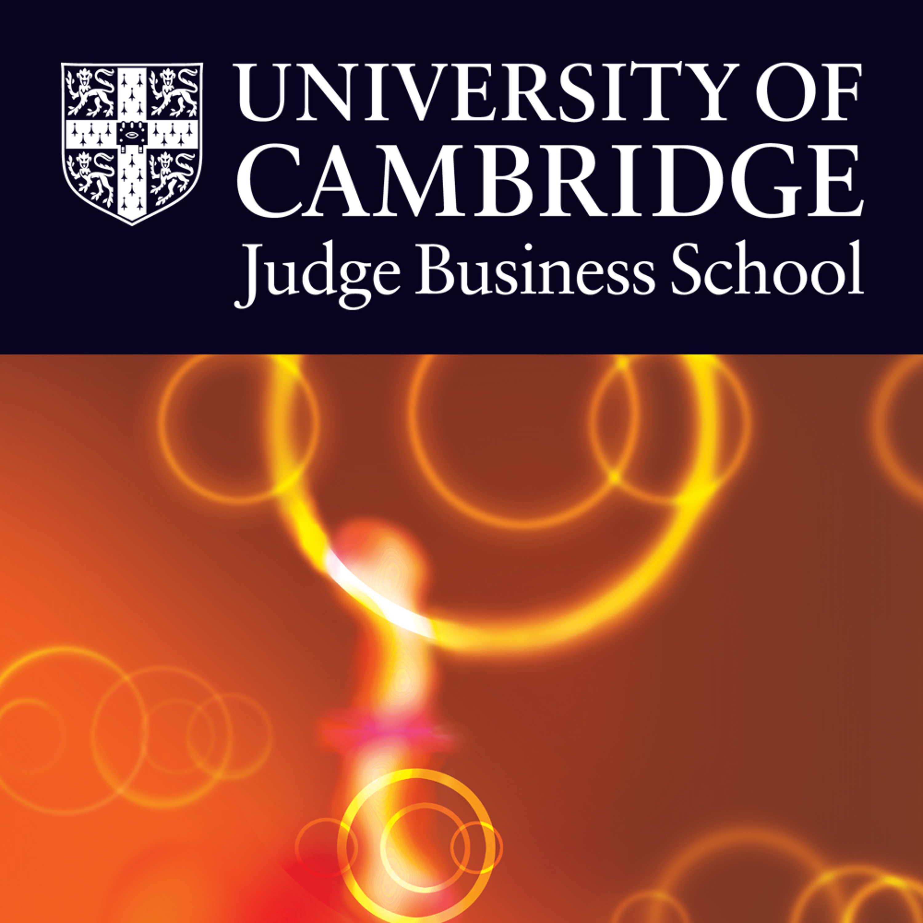 The challenges for social enterprise episode artwork