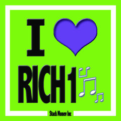 DJ RICH1 - Party Animal Vol.3 RnB HipHop House