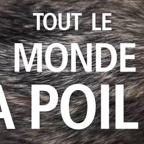 Tout le monde à poil et on s'caresse _ reMs