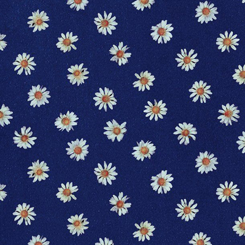 Kinoko Teikoku - 海と花束