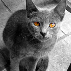 KASPAROV - SUPERHEROES FEB - 27 / 02 / 14 - SUNDOWN SET (FREE DOWNLOAD)