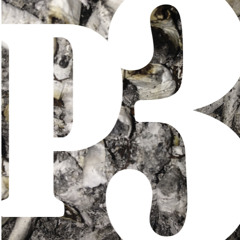 BM selection 21 (i'm back)