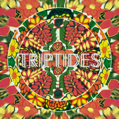 Triptides - "Moonbeams"
