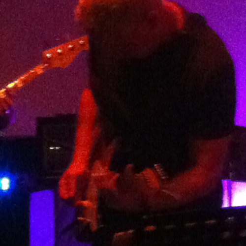 Freddie The Freeloader