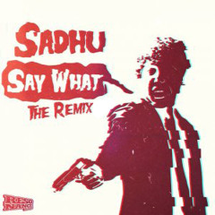 Sadhu - Say What ( Boltcutter Remix & Hadiction Bootleg Remix )