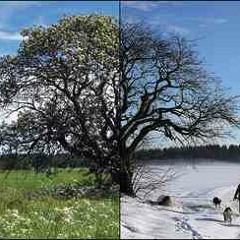 The Winter Of My Heart