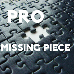 Prototype-Missing Piece