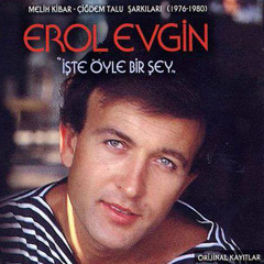 Erol Evgin - İşte Öyle Bir şey (1976)