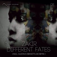 Different Fates (Original Mix) [Snippet Recordings]