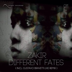 Different Fates (Gustavo Bravetti Live Remix) [Snippet Recordings]