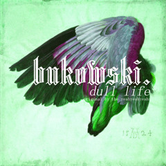 Yeah Yeah Yeahs - Dull Life (bukowksi bootleg remix)