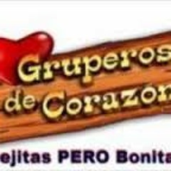Mix grupero dj fredy