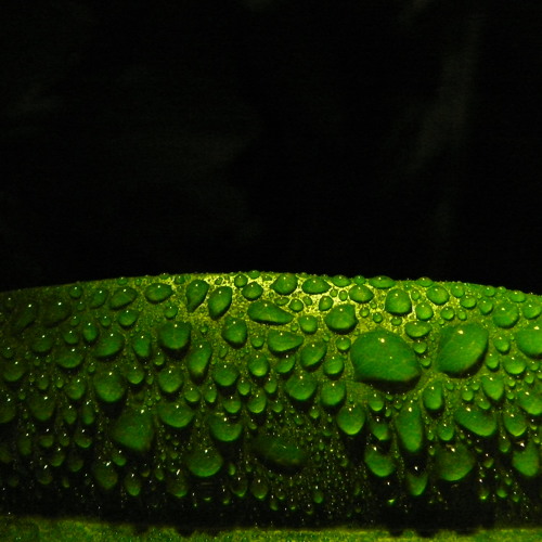 music for walkabouts