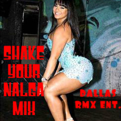 SHAKE YOUR NALGA MIX DJ LIL JR.. DALLAS RMX ENT!!!