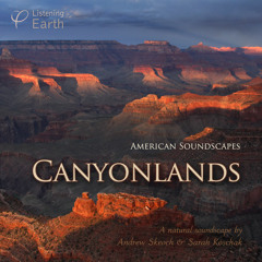 Canyonlands, An American Soundscape - Album sample