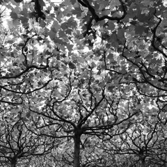 DJ Darrel ellerbe 98.7 kiss club classics pt. 1