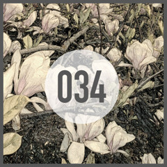 PLAY IT LOUD Podcast 034 by Lars Neubert