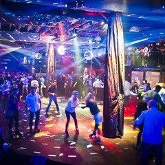 DISCO
