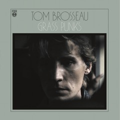Tom Brosseau -  Stuck On The Roof Again