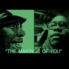 The Makings of You - Curtis Mayfield (acoustic cover)