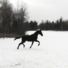 Udda Fyrsprång (Teaser)