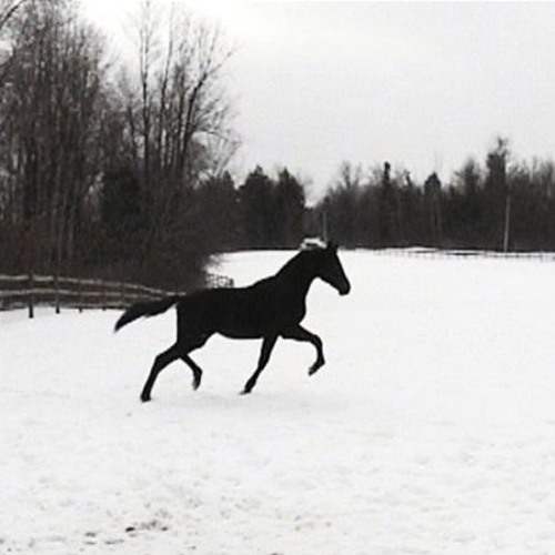 Udda Fyrsprång (Teaser)