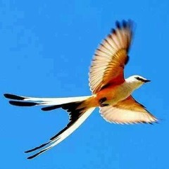 Uplifting Otoe songs