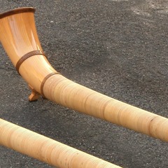 Alpine Sounds - contemporary folk