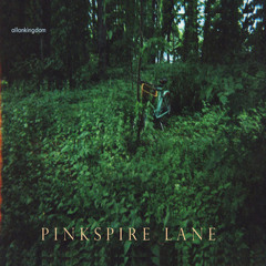 Pinkspire Lane EP | June | 2012 |
