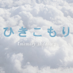 「memory shadow」