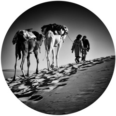 Hunting Dogs - Harhiraa Clip [DWP006] OUT NOW!!!