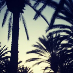 Love Cocoa - Honey Cocaine
