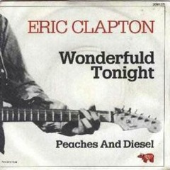 wonderfull tonight (accoustic) eric clapton cover