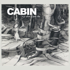 CABIN - It Is What It Looks Like