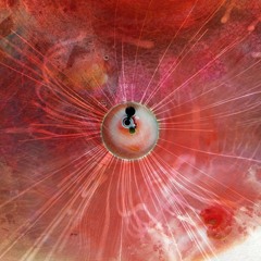 Animals As Leaders - Physical Education (ScoHolla Remix)